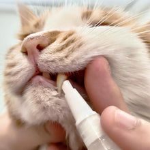 Charger l&#39;image dans la galerie, Nouveau stylo brosse à dents pour animaux de compagnie
