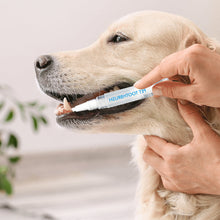 Charger l&#39;image dans la galerie, Nouveau stylo brosse à dents pour animaux de compagnie
