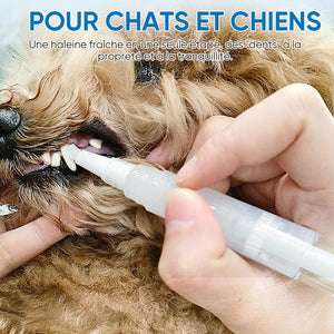 Nouveau stylo brosse à dents pour animaux de compagnie