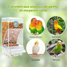 Charger l&#39;image dans la galerie, Mangeoire d&#39;oiseaux automatique transparente sans déversement
