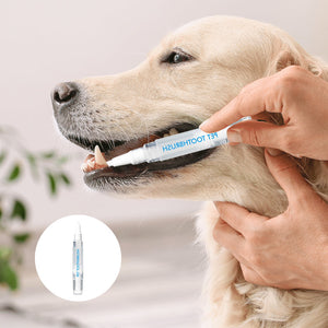 Nouveau stylo brosse à dents pour animaux de compagnie