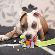 Charger l&#39;image dans la galerie, Jouet à mâcher pour chien
