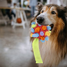 Charger l&#39;image dans la galerie, Jouet à mâcher pour chien
