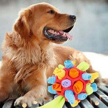 Charger l&#39;image dans la galerie, Jouet à mâcher pour chien
