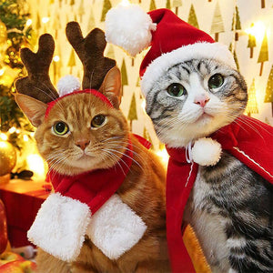 Costume de Noël pour Animaux de Compagnie