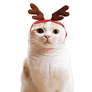 Costume de Noël pour Animaux de Compagnie