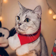 Charger l&#39;image dans la galerie, Costume de Noël pour Animaux de Compagnie
