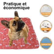 Charger l&#39;image dans la galerie, Tapis Imperméable Lavable Pour Chien
