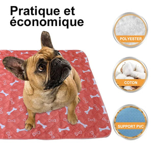 Tapis Imperméable Lavable Pour Chien