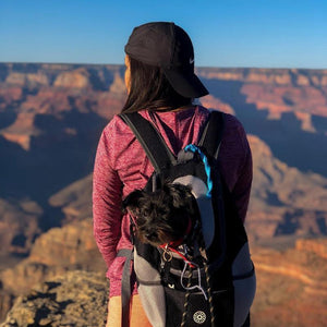 🔥Sac Á Dos Pour Chiens / Chats🔥