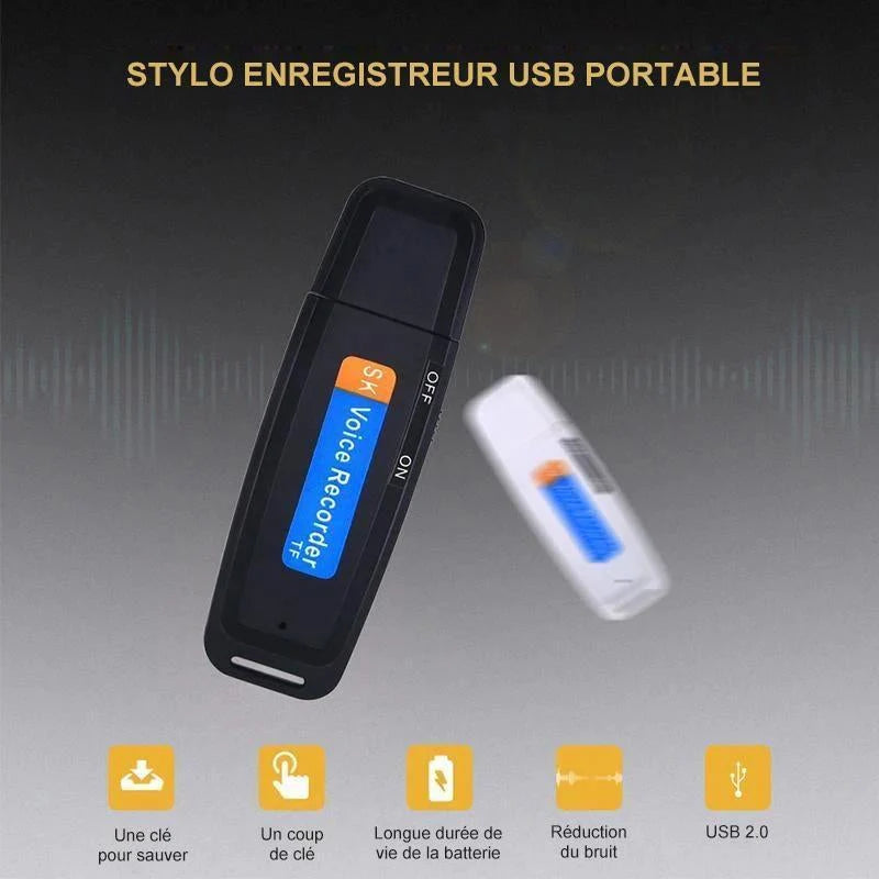 Mini Stylo Enregistreur USB Portable