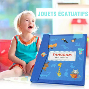 Magnétique Tangram Jeu Puzzle Coloré en Bois