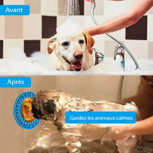 Tapis à Lécher en Silicone pour Chien