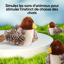 Charger l&#39;image dans la galerie, Jouet pour chat - Oiseau gazouillant simulé
