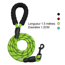 Charger l&#39;image dans la galerie, Kit de promenade 3 en 1 pour animal de compagnie
