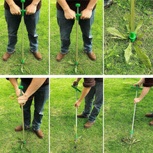 Charger l&#39;image dans la galerie, Extracteur de Mauvaises Herbes
