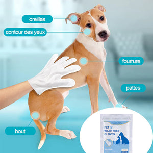 Lingettes pour gants de toilettage pour animaux de compagnie