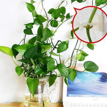 Charger l&#39;image dans la galerie, Clips Muraux pour Plantes Grimpantes (30 pièces)
