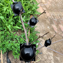 Charger l&#39;image dans la galerie, Capsule de Propagation des Plantes de la Couche d&#39;Air
