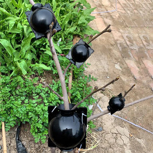 Capsule de Propagation des Plantes de la Couche d'Air