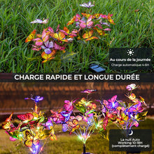 Charger l&#39;image dans la galerie, 🌈✨Lampes solaires papillon pour jardin🦋🎶
