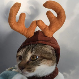 Costume de Noël pour Animaux de Compagnie