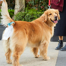 Charger l&#39;image dans la galerie, Collecteur De Crottes De Chien Avec Sac
