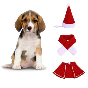 Costume de Noël pour Animaux de Compagnie