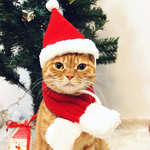 Costume de Noël pour Animaux de Compagnie