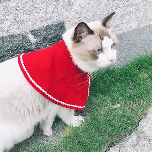 Costume de Noël pour Animaux de Compagnie